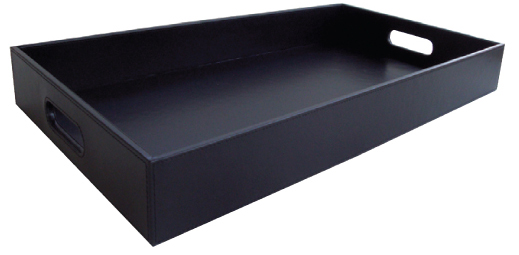 PL-RS01